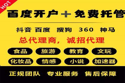 成功案例：sem竞价托管的智慧与策略